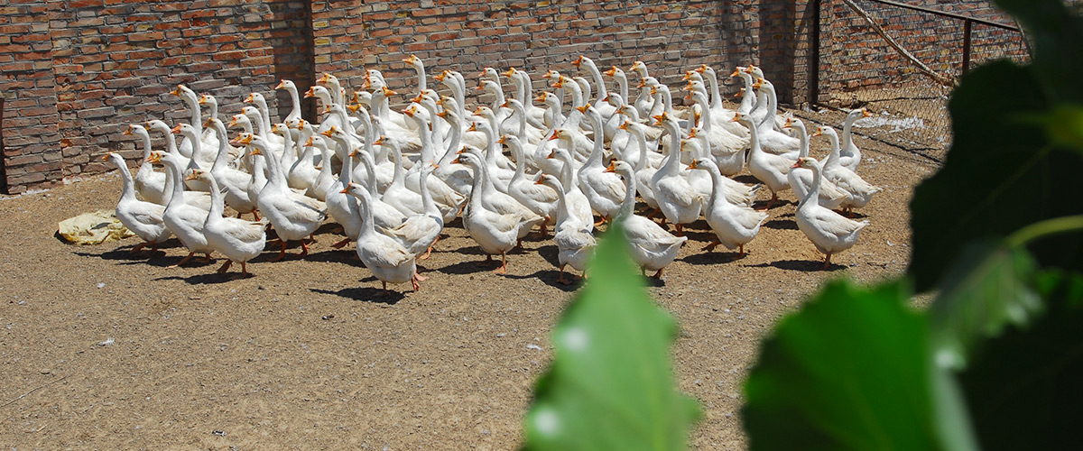 �ӱ�mg����ͻ�Ʒ��ز������������޹�˾