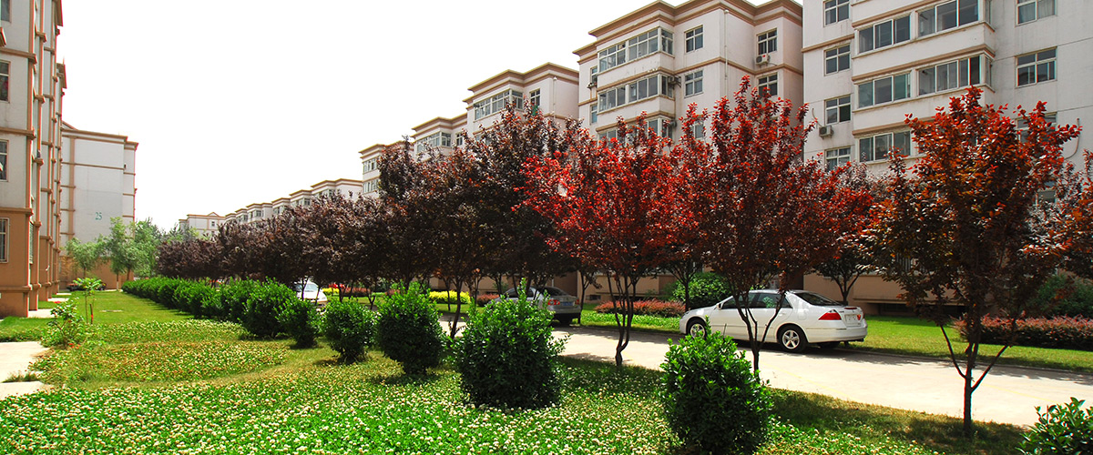 �ӱ�mg����ͻ�Ʒ��ز������������޹�˾