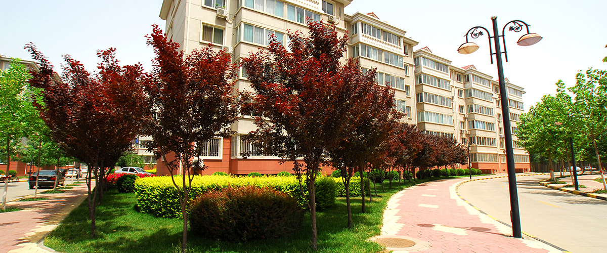 �ӱ�mg����ͻ�Ʒ��ز������������޹�˾